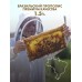 Корейская зубная паста Royal Pro Bee с прополисом 130мл, 2шт