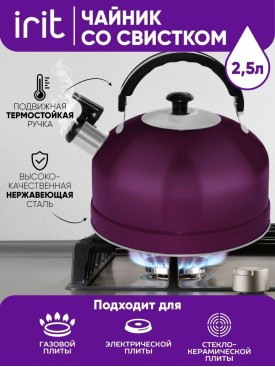 Чайник со свистком для плиты IRH-402 2,5 литра на кухню