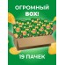 Чипсы картофельные LAYS ЗЕЛЕНЫЙ ЛУК оптом, коробка 19х140 г